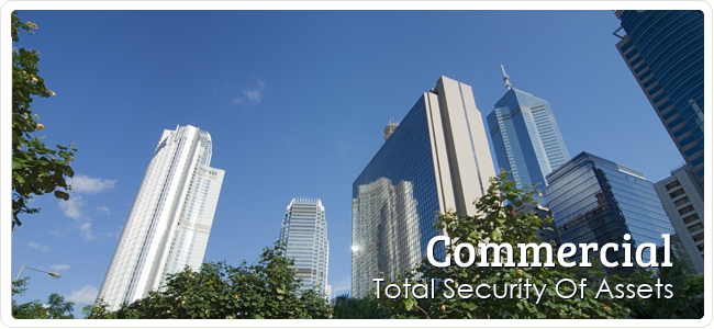 Lago Vista Locksmith - Commercial